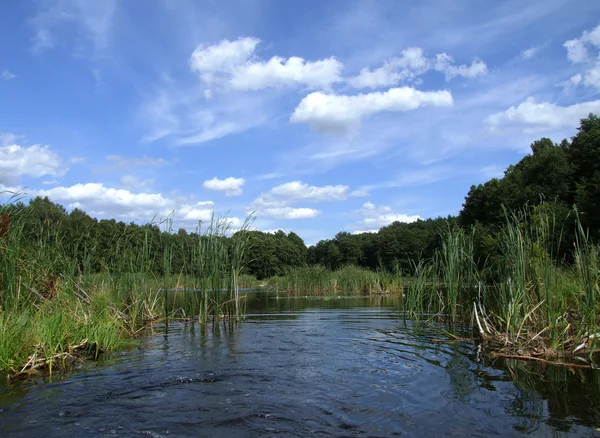 stock image Lake