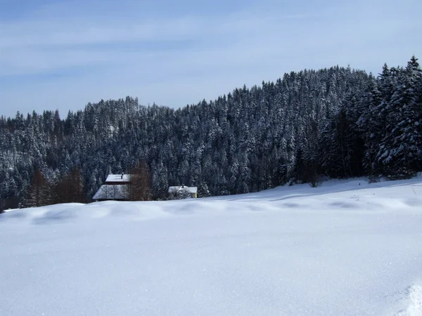 stock image Hause in mountains