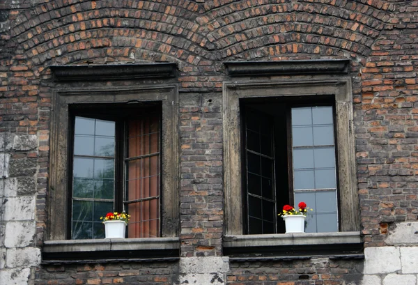 Două ferestre — Fotografie, imagine de stoc