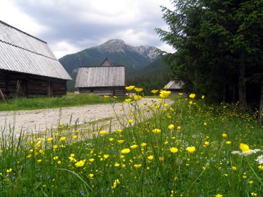 eski dağ evi