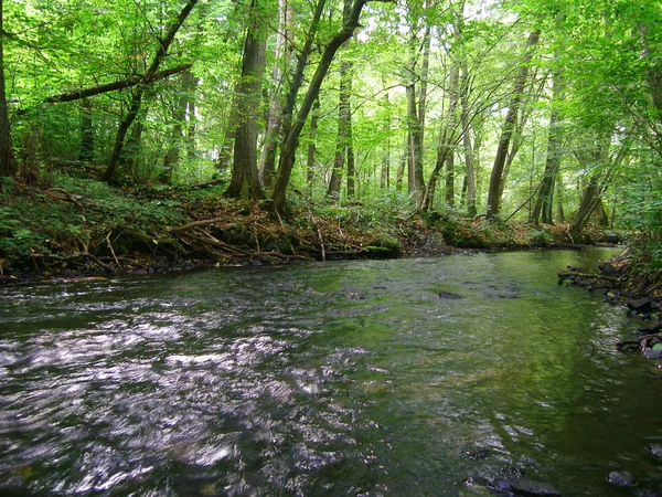 stock image River