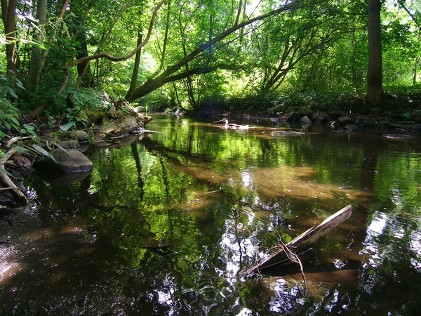 stock image River