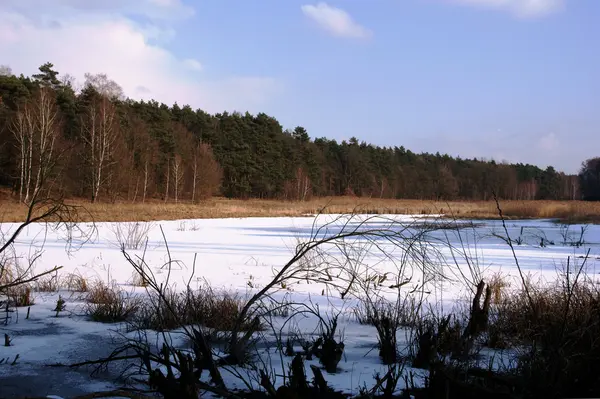 stock image Frozen lake