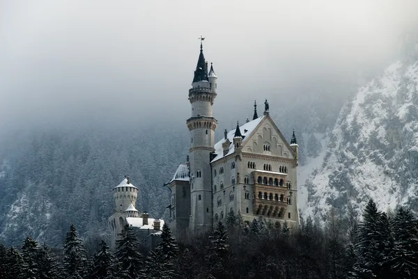 Slottet neuschwanstein i vinter Stockfoto