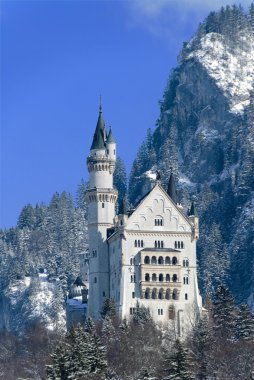 The castle of Neuschwanstein, Fuessen, Gerrmany clipart