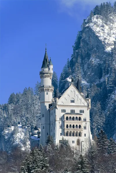 O castelo de Neuschwanstein, Fuessen, Alemanha — Fotografia de Stock