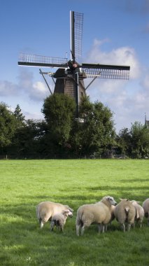 Wind mill in netherlands clipart