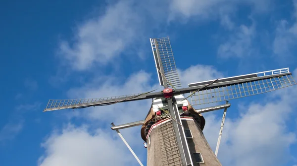 전통 풍차, 네덜란드 — 스톡 사진