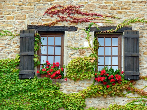Mur avec fenêtres et fleurs — Photo
