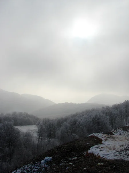 Soğuk kış manzarası — Stok fotoğraf