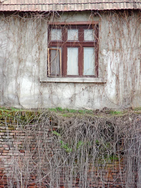 Starý opotřebovaný zeď s okny — Stock fotografie