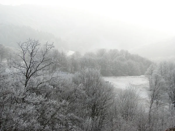 Soğuk kış manzarası — Stok fotoğraf