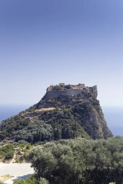 Замок Ангелокастро с оливковыми деревьями — стоковое фото