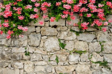 Picturesque stone wall