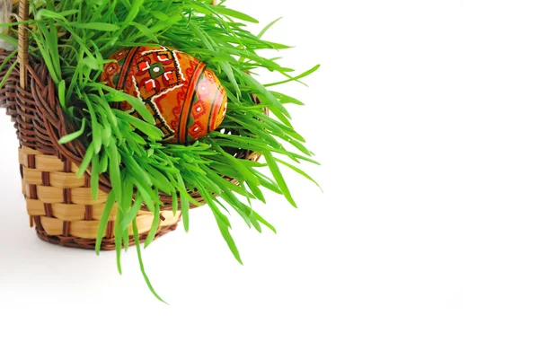 Easter basket with grass and egg — Stock Photo, Image
