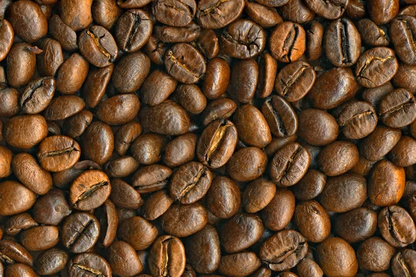 Black coffee beans background, high resolution — Stock Photo, Image