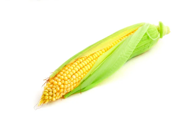 Maïs oor geïsoleerd op wit — Stockfoto