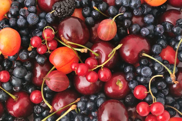 stock image Berries background