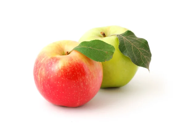 Zwei reife Äpfel — Stockfoto