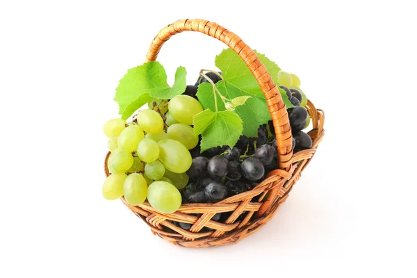 Grapes in the basket — Stock Photo, Image