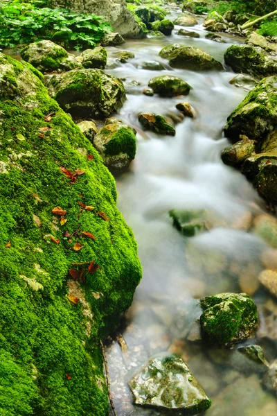Fast river — Stock Photo, Image