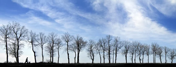 stock image The got confused clouds