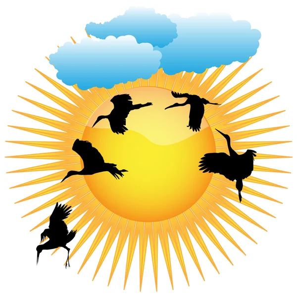 Storks en zon. vector — Stockvector