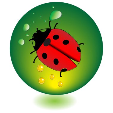 Ladybugs.Vector