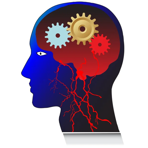 Kopf mit Gehirnvektor — Stockvektor