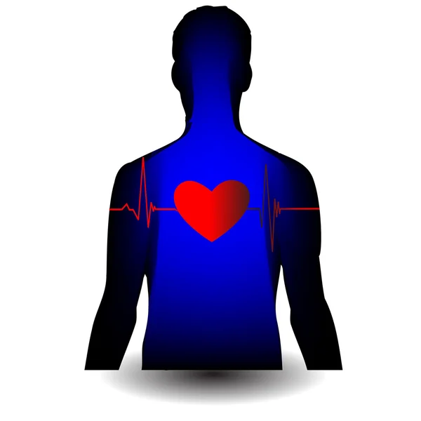 Serce cardiogram.vector — Wektor stockowy