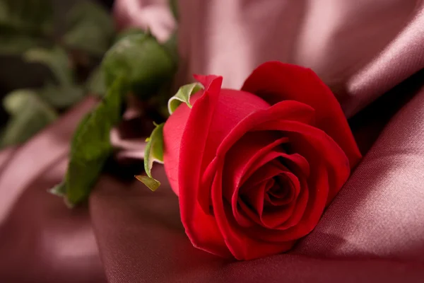 Rosa vermelha em seda — Fotografia de Stock
