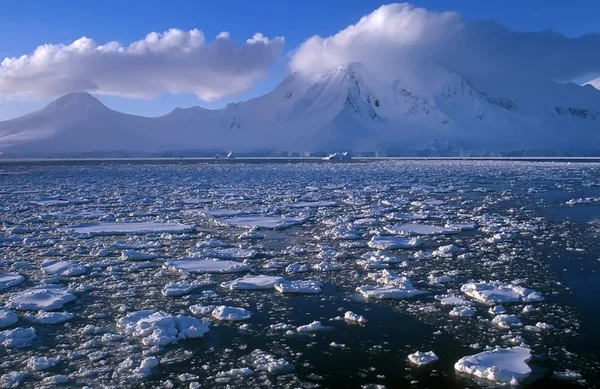 Antarktika — Stok fotoğraf
