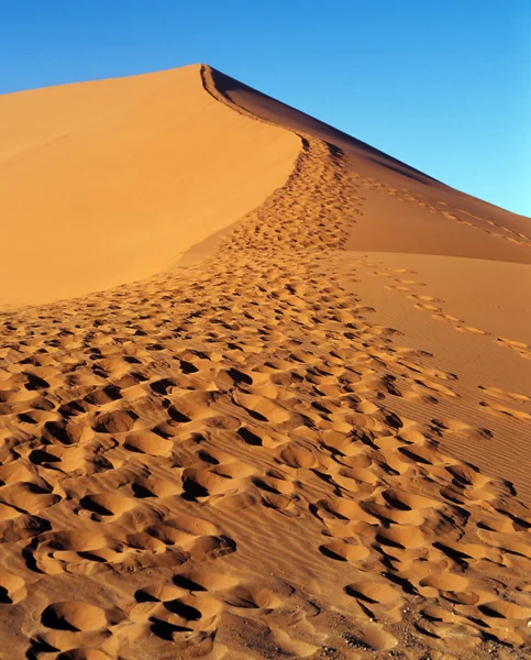 Fotavtryck på sand — Stockfoto