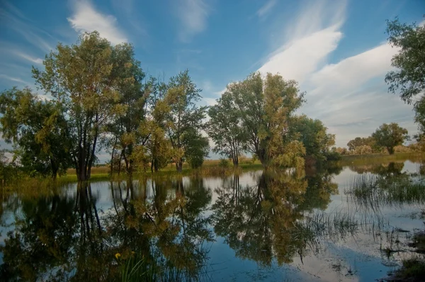 Letni krajobraz z rzeką Obraz Stockowy