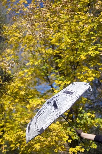 Umbrella and autumn leaves on background — Stock Photo, Image