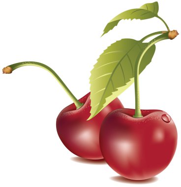 Cherry clipart