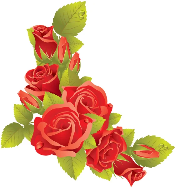 Vörös rózsa csokor Stock Illusztrációk