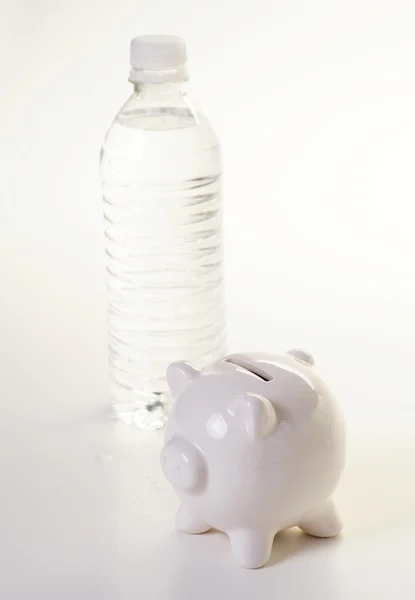 stock image Water bottle and piggy bank isolated on