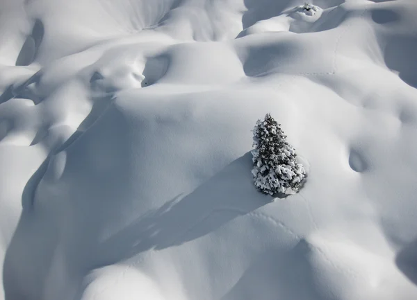 雪の場所 — ストック写真