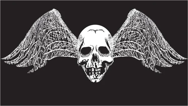 Winged skull — Stock Vector