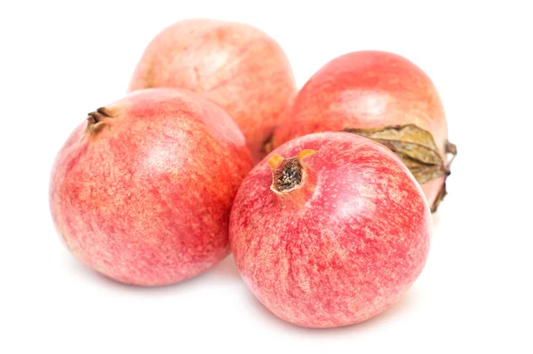 Pomegranate isolated — Stock Photo, Image