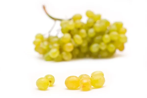 stock image Grape isolated