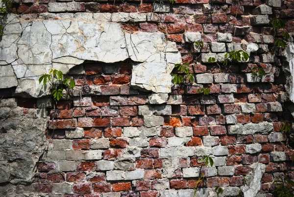 Uszkodzony mur — Zdjęcie stockowe