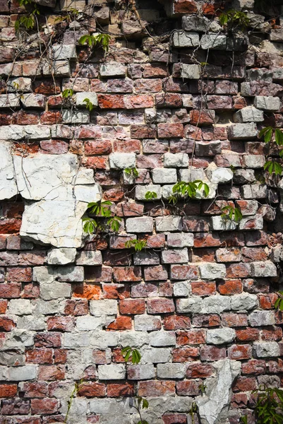 Сломанная кирпичная стена — стоковое фото