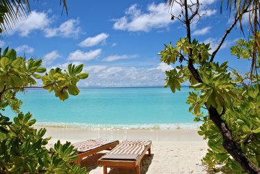 View of two chairs on the beach clipart