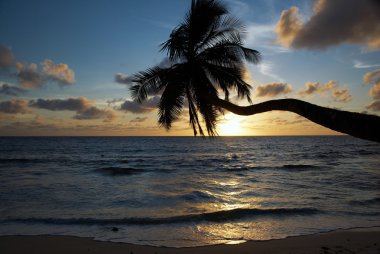 Anse Takamaka