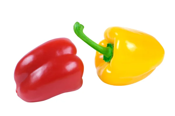Three pepper on a white background — Stock Photo, Image