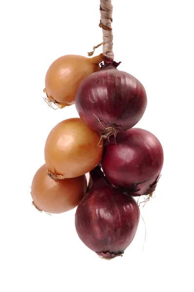 Bundle of onion bulbs isolated on white — Stock Photo, Image