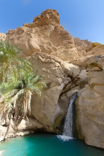 stock image Waterfall in Oasis