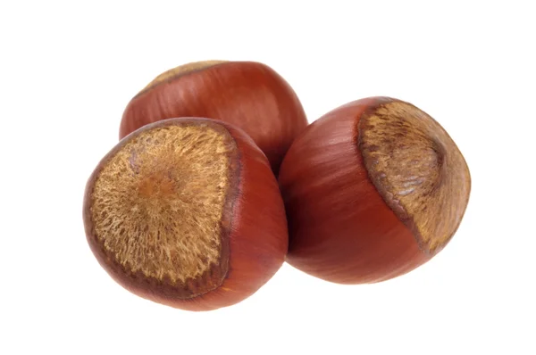 Three unpeeled hazelnut — Stock Photo, Image